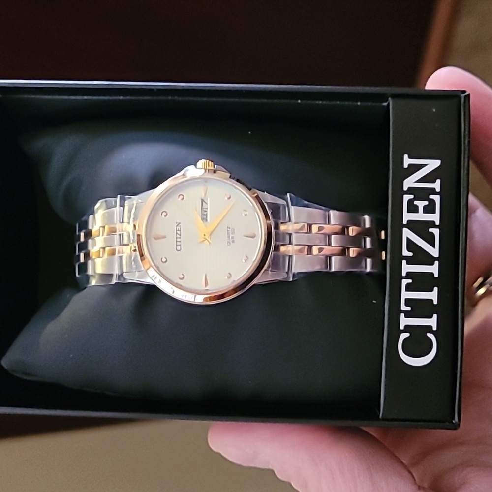 Brand new Ladies Citizens Watch